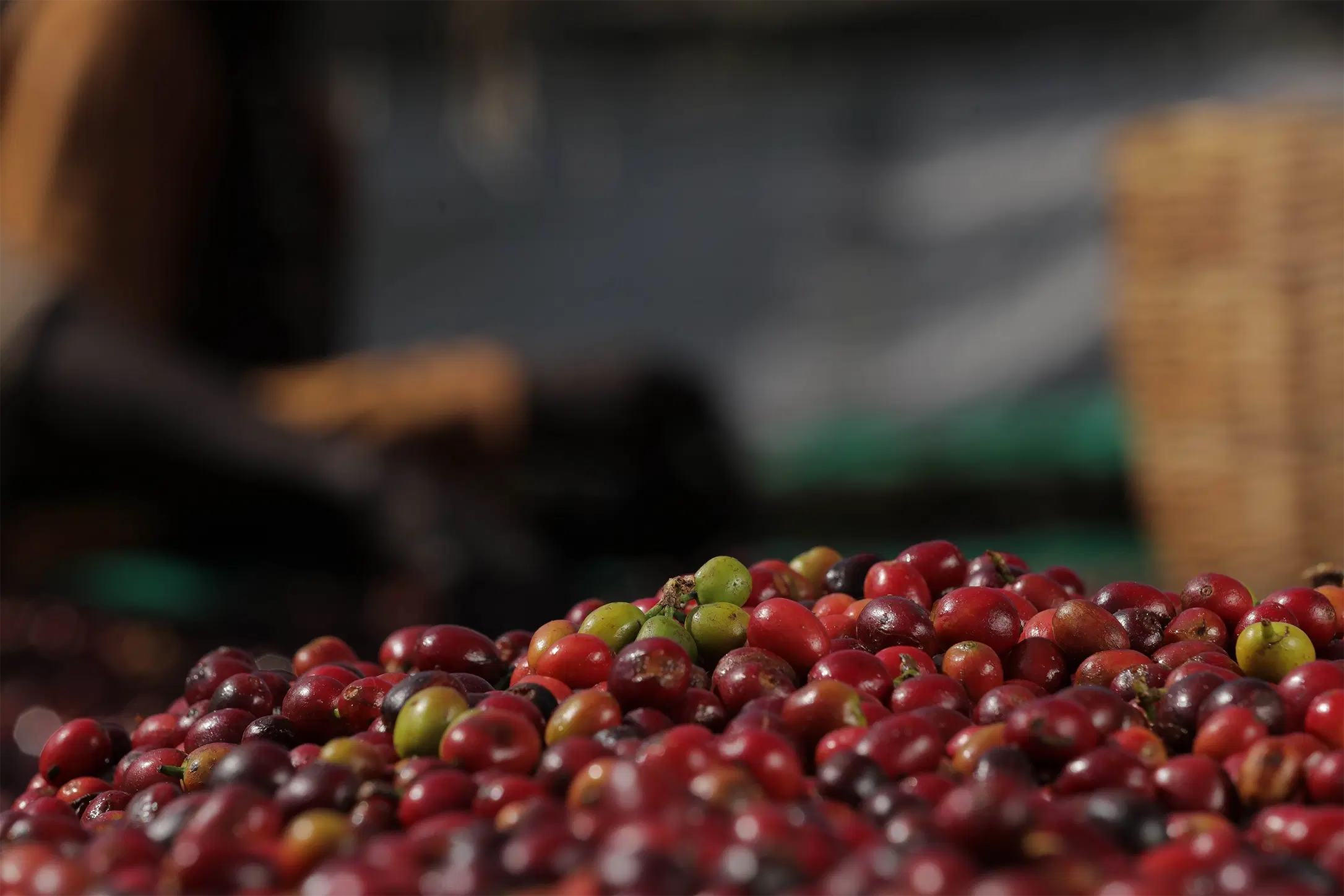 Brand Advertising Filming